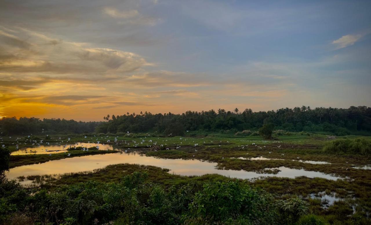 Ceylon Lodge - Airport Transit Hostel ネゴンボ エクステリア 写真