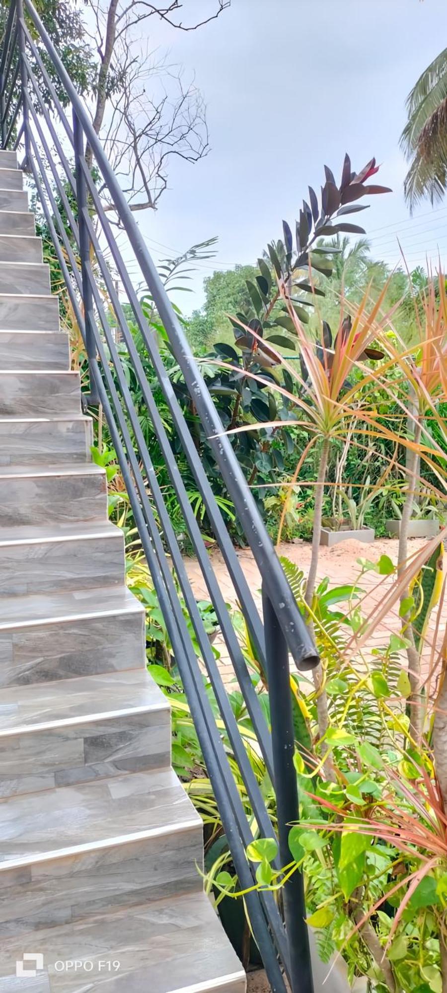 Ceylon Lodge - Airport Transit Hostel ネゴンボ エクステリア 写真